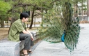 Web site image
