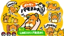 Web site image