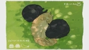 Web site image