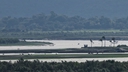Web site image