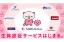 Web site image