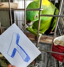 Web site image