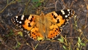 Web site image