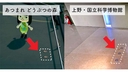 Web site image