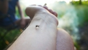 Web site image