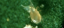 Web site image