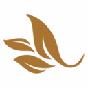 Web site image
