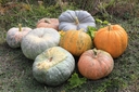 Web site image