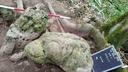 Web site image