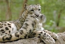 Web site image