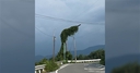 Web site image