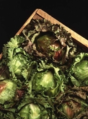 Web site image