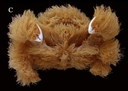Web site image