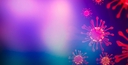 Web site image