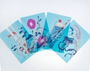 Web site image