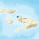 Web site image