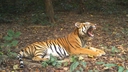 Web site image