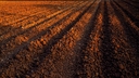 Web site image