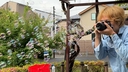 Web site image
