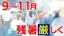 Web site image