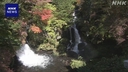 Web site image