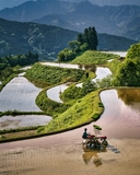 Web site image