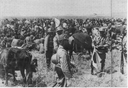 Web site image