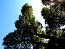 Web site image