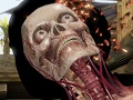 Web site image