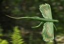 Web site image
