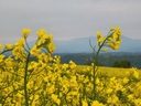 Web site image