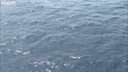 Web site image