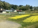 Web site image