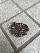 Web site image