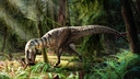 Web site image