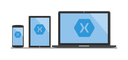 Web site image