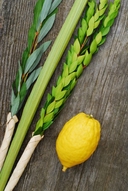 Web site image