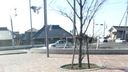 Web site image