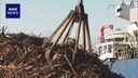 Web site image