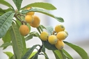 Web site image