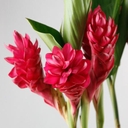 Web site image