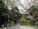 Web site image