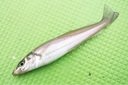 Web site image