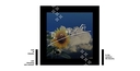 Web site image