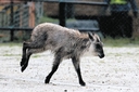 Web site image