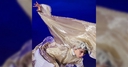 Web site image