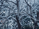 Web site image