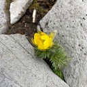 Web site image