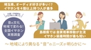 Web site image