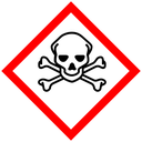 Web site image